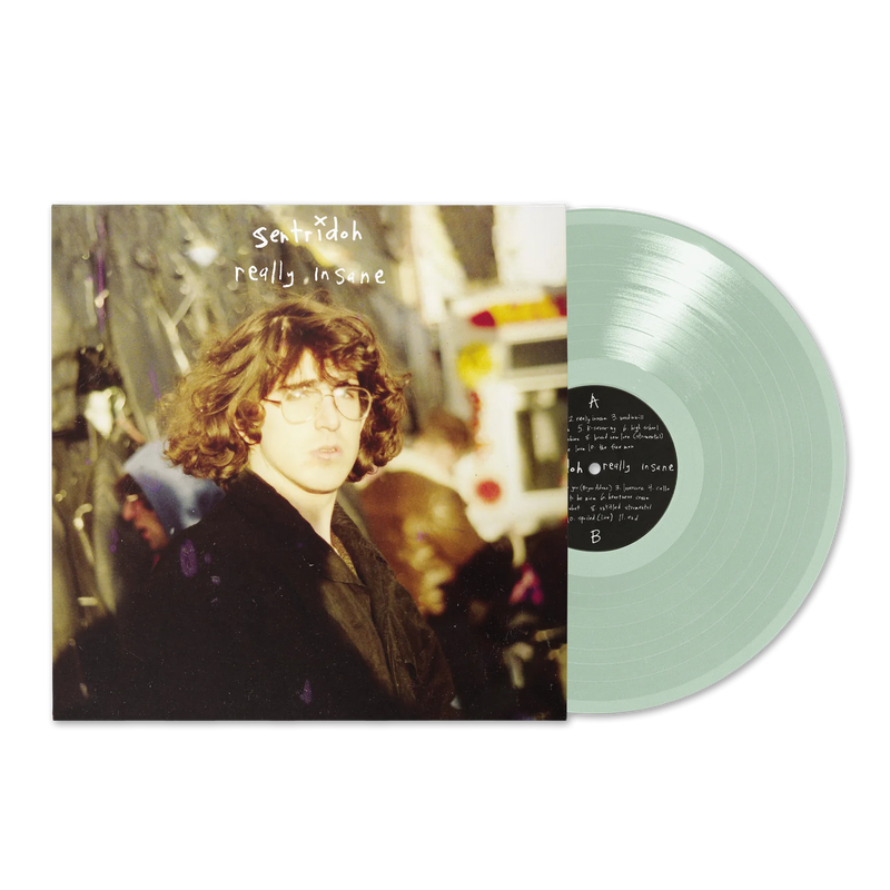 Sentridoh - Really Insane: A Lou Barlow Compendium Vinyl LP