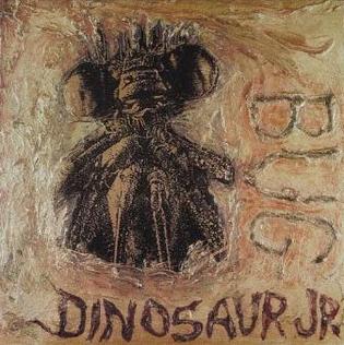 Dinosaur Jr. Bug CD CD- Bingo Merch Official Merchandise Shop Official