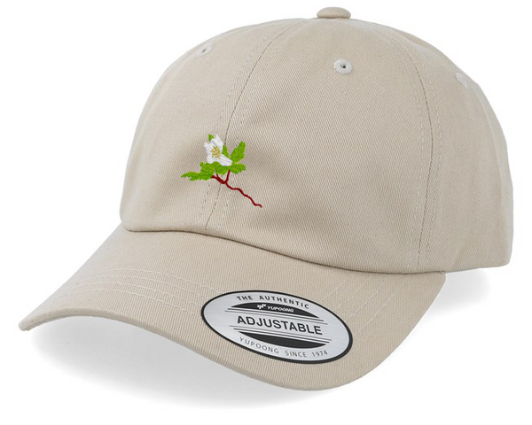 Efterklang Windflowers Cap - Stone