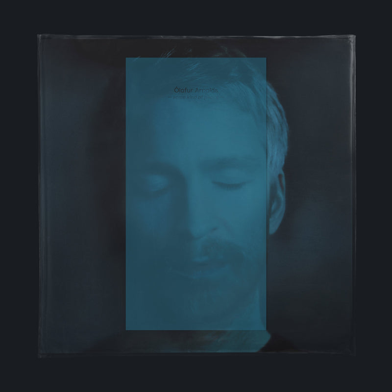 Some Kind Of Peace LP in reusable PVC sleeve